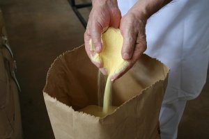 Golden Triangle Durum Wheat Angelo's Pasta